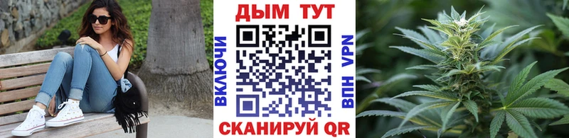 Купить  Красновишерск  Конопля ГИДРОПОН 